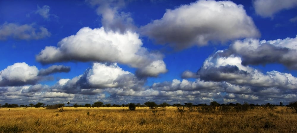  fehér felhőképződmények fényes kék égen a gyönyörű afrikai szavanna felett (Cobus Olivier)s