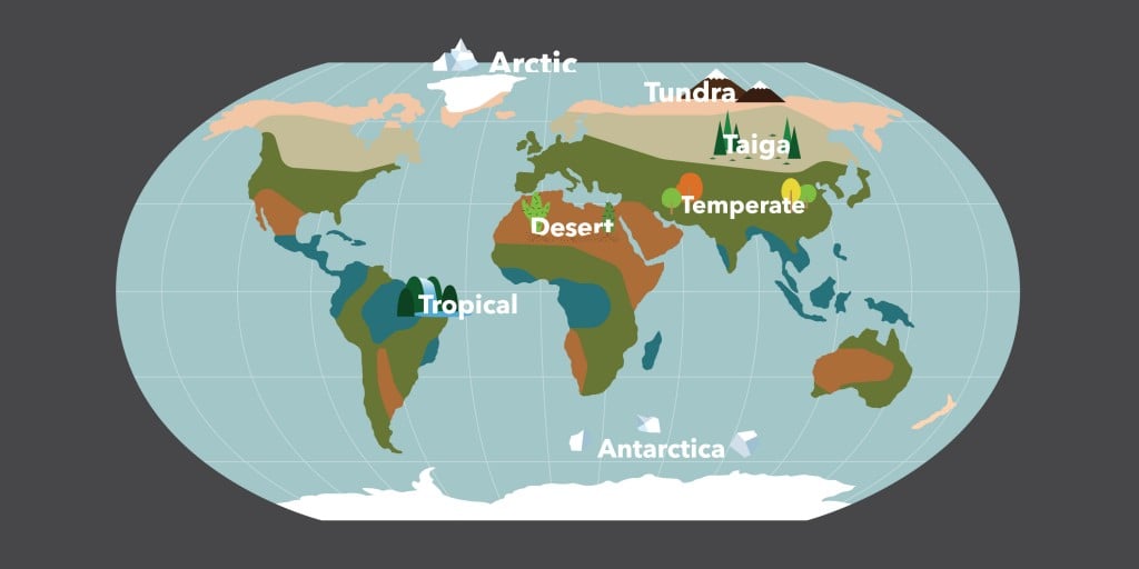 Biome Chart