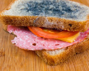 moldy sandwich with salami, tomatoes on a chopping board(Dziewul)S