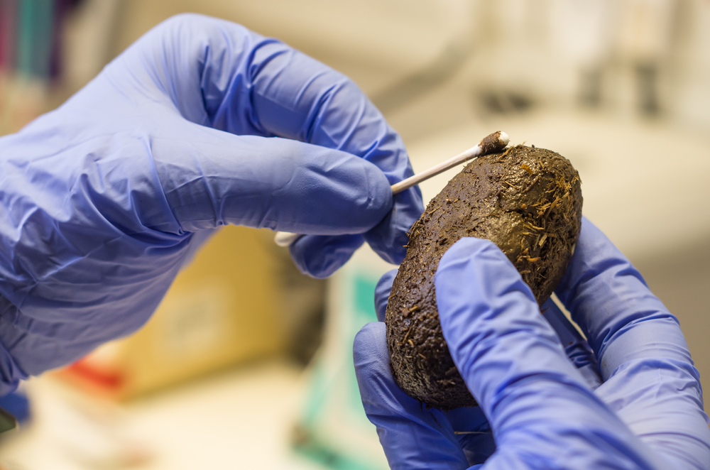 Wildlife Forensics Science, Methods, Examples, Principles And Practice