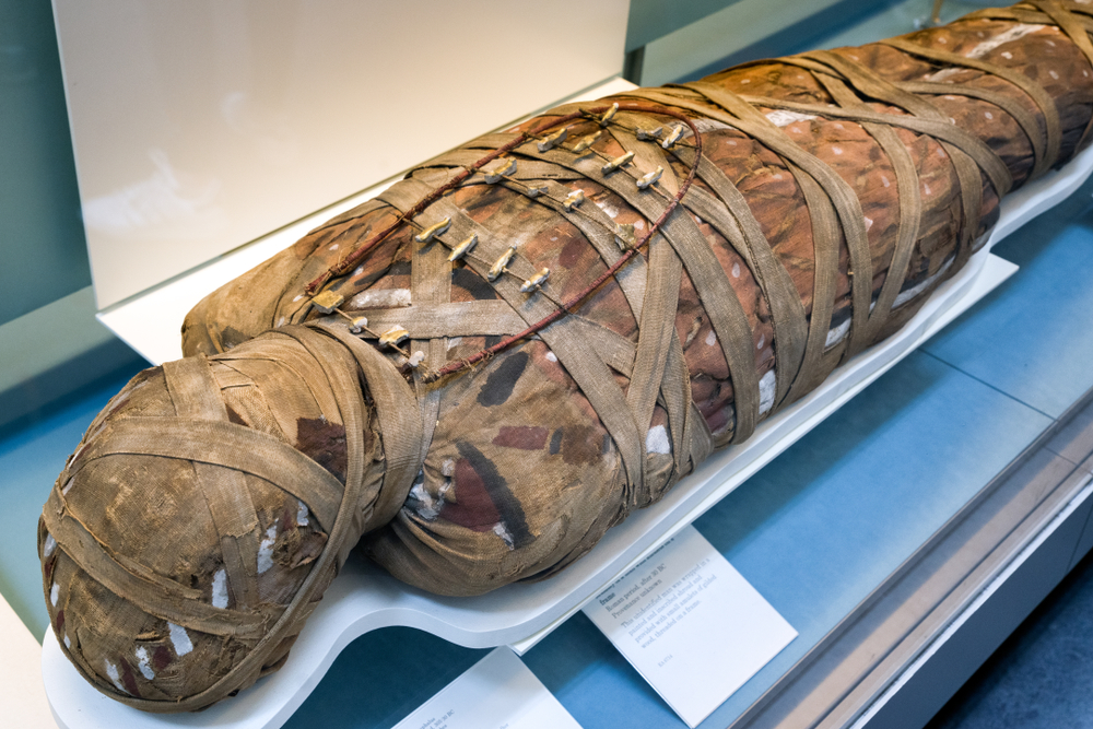 Do Mummies Carry Ancient Pathogens(Jaroslav Moravcik)S