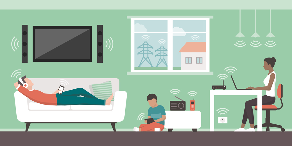 Electromagnetic fields in the home and sources(elenabsl)s