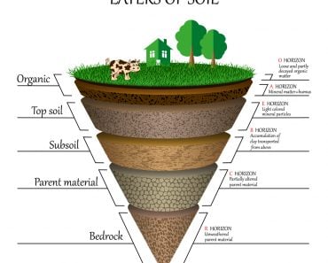 Layers of soil(Ellen Bronstayn)S