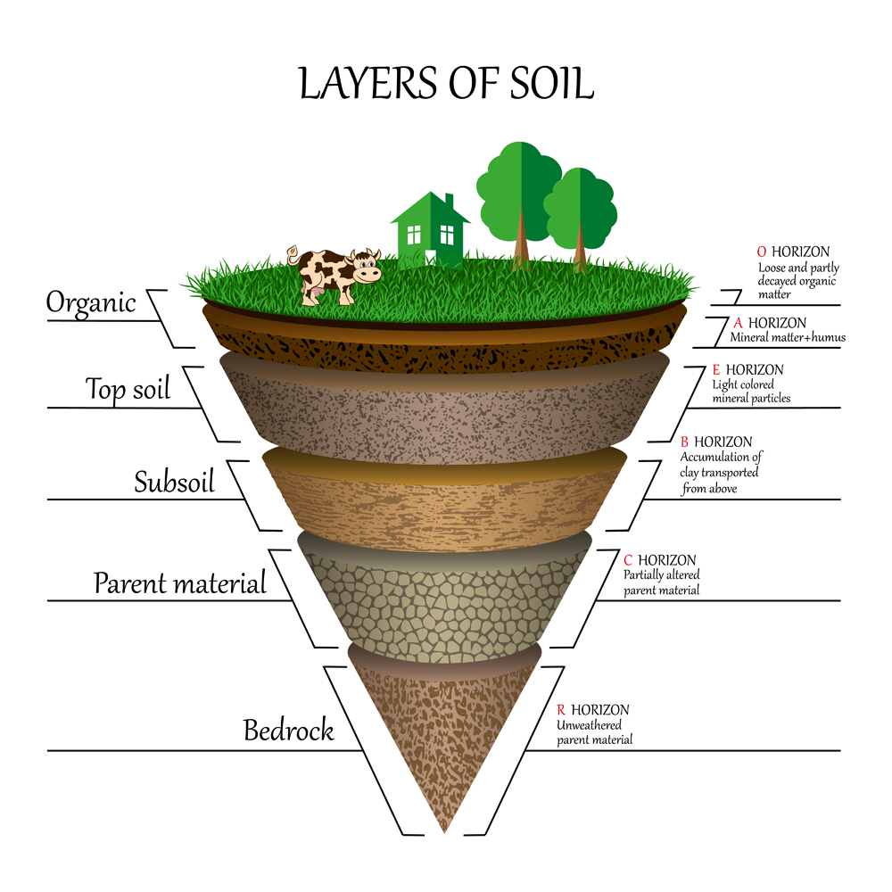 Layers of soil(Ellen Bronstayn)S