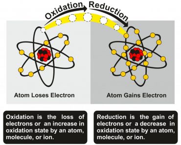 Oxidation and Reduction Process infographic diagram(Inna Bigun)s