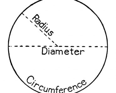 circle with labels for radius, diameter and circumference(Morphart Creation)s