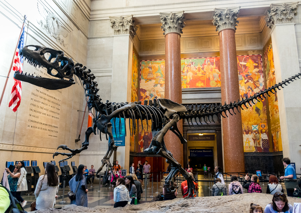 museums with dinosaur fossils near me