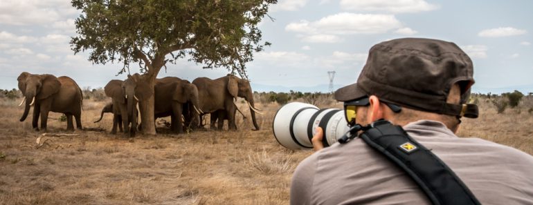 Male photographer shooting pictures of the savannah on a safari game drive(FranciscoMarques)s