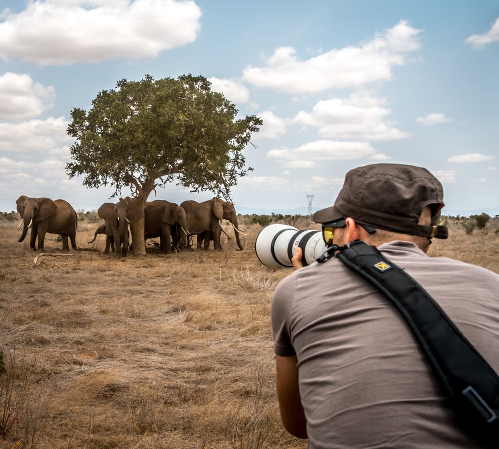 How Filmmakers Stay Safe While Shooting In The Wild? How Filmmakers Stay Safe While Shooting In The Wild?