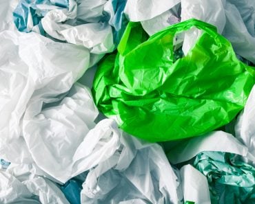 Who Invented the Green Garbage Bag? Harry Wasylyk