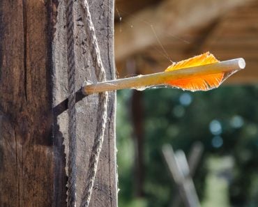 one arrow with yellow feathers stuck in a wooden fence(sobolicha11)s