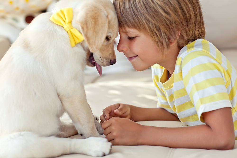 Child with dog(Nina Buday)s