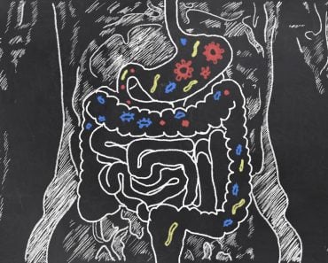 Intestines with Gut Bacteria on Blackboard(T. L. Furrer)S