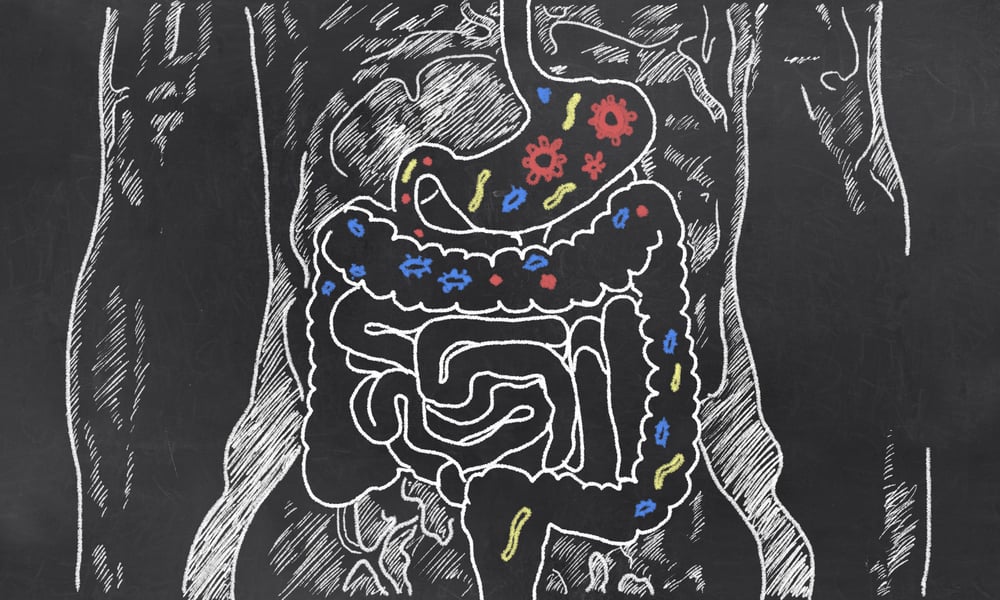 Intestines with Gut Bacteria on Blackboard(T. L. Furrer)S