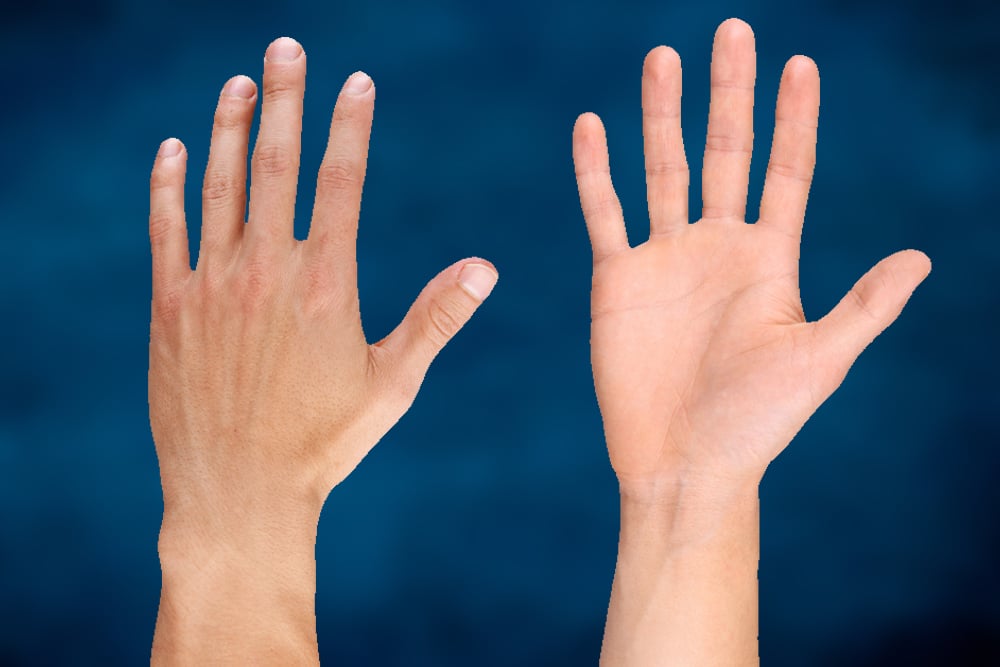 How Well Do You Know The Back Of Your Hand? » Science ABC