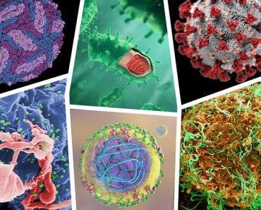 virus of disease