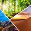 Our planet earth and it's diverse ecosystems