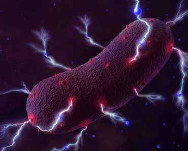 Bioelectricity