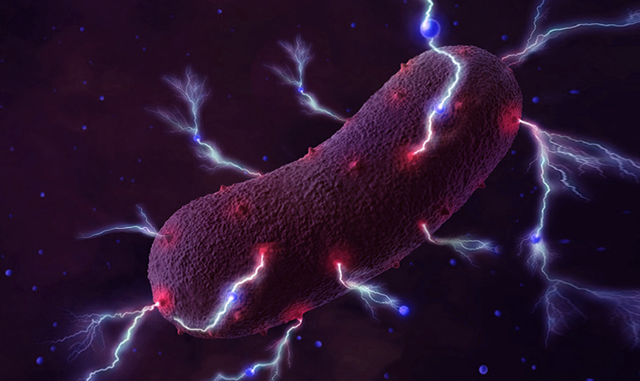 Bioelectricity Could Bacteria Solve Our Energy Crisis? » Science ABC