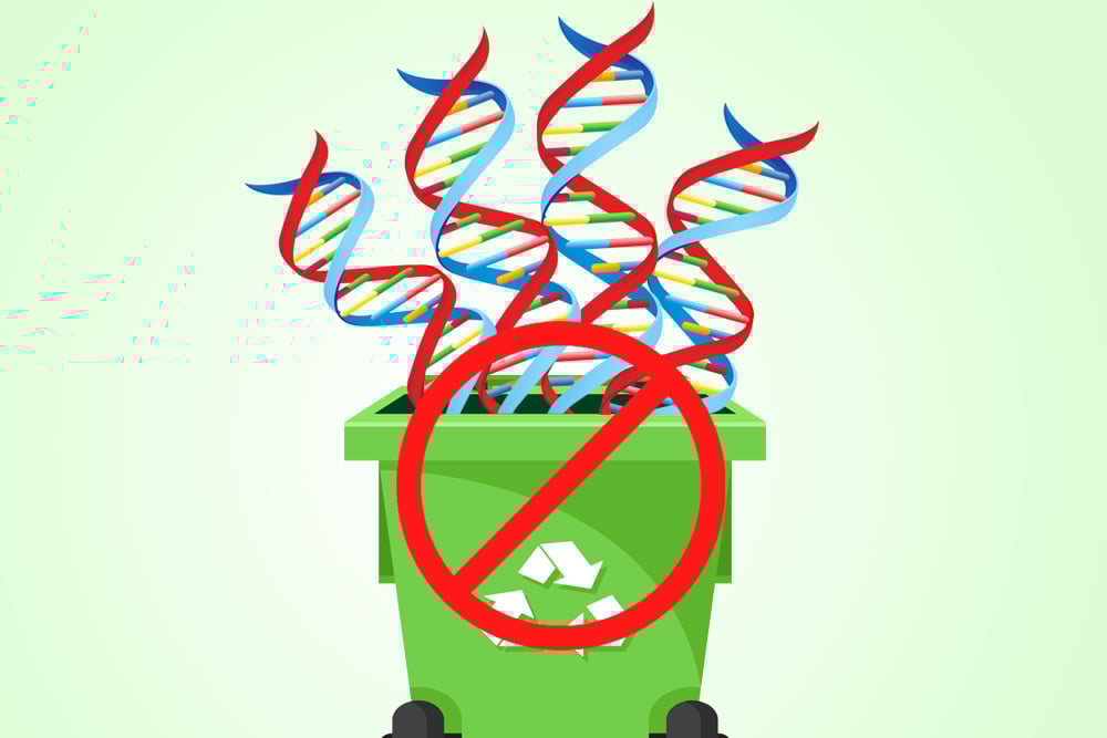DNA junk