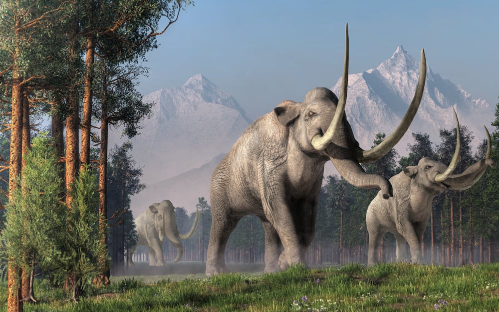 De Extinction: Can We Resurrect Extinct Animals? De Extinction: Can We Resurrect Extinct Animals?