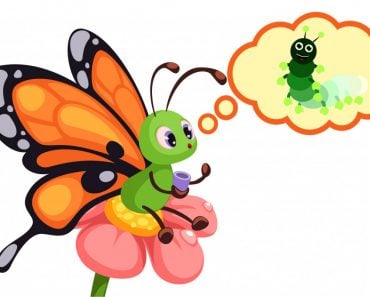 butterfly is remembering it's caterpillar stage1