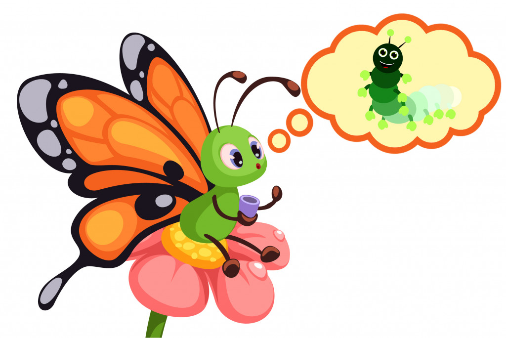 butterfly is remembering it's caterpillar stage1