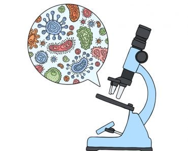 Microbes under a microscope(H Art)s