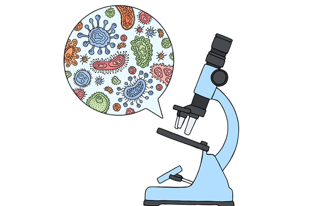 Microbes under a microscope(H Art)s