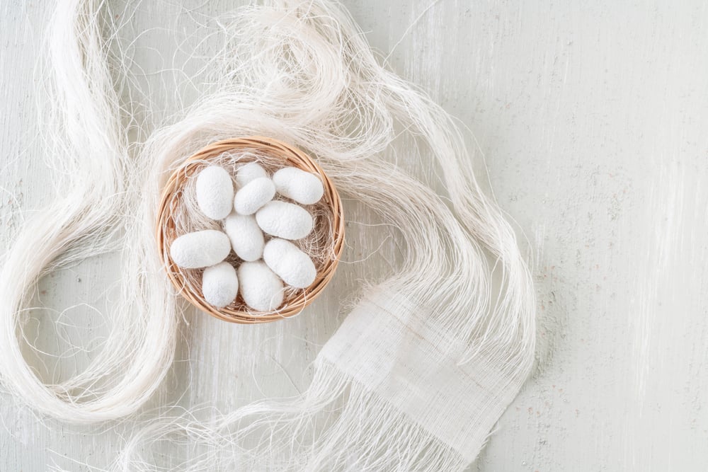 Silk cocoon the commercially bred caterpillar of silkworm moth(rikur B)s