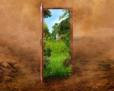 Open door to the new summer landscape world, green nature environment against desert background(Corona Borealis Studio)s