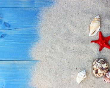 Summer background with sea shells and red star with sand on blue wooden planks. Copy space(panna-yulka)s