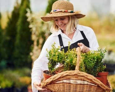 Taking plants in pots by using basket(Standret)s