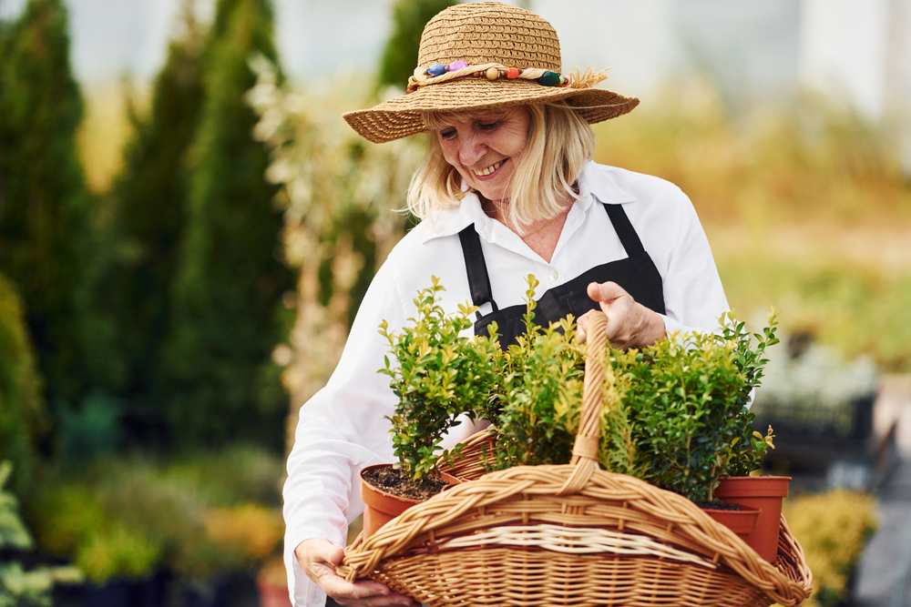 Taking plants in pots by using basket(Standret)s