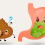 stomach and poop