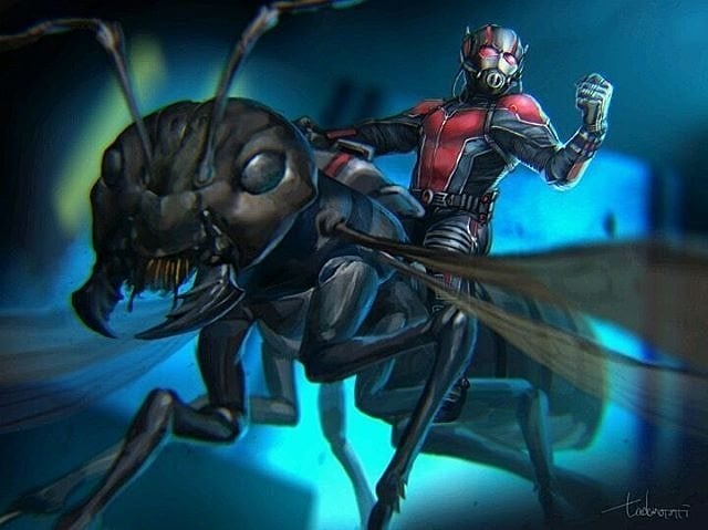 Little Hero, Big Screen: The Entomology Of 'Ant-Man' : NPR