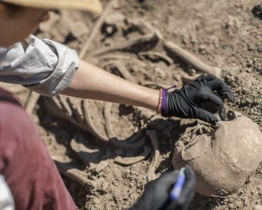 Archaeological Excavations - Ancient Human Skeleton