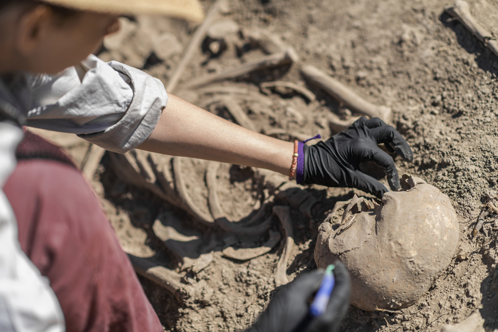 Archaeological Excavations - Ancient Human Skeleton