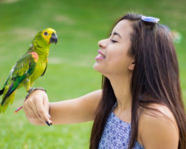 girl talking with parrot