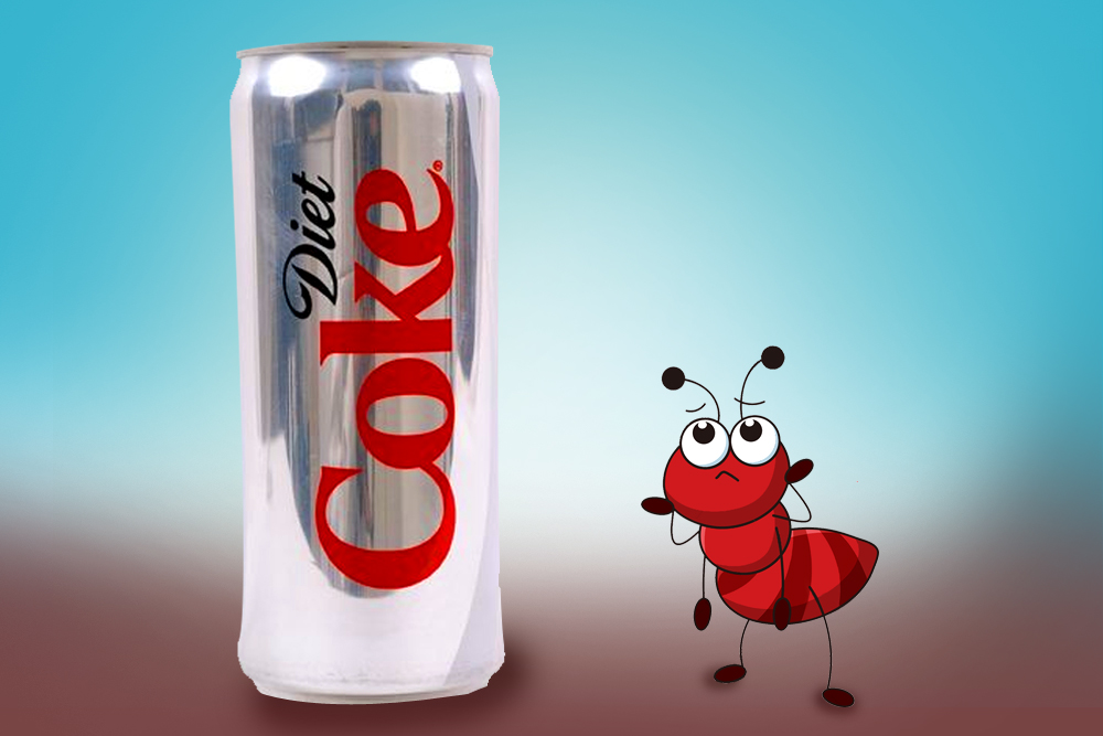 Ants Like Diet Soda