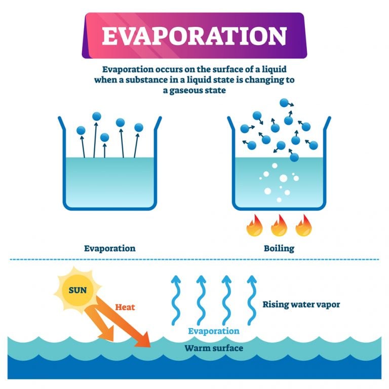 Why Does Water Evaporate At Room Temperature?
