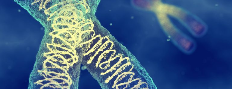 Chromosomes,-,Dna,Molecules,Carrying,The,Genetic,Material,,,Gene