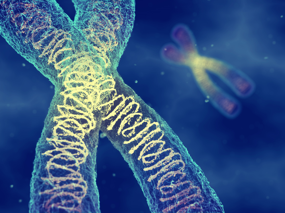 Chromosomes,-,Dna,Molecules,Carrying,The,Genetic,Material,,,Gene