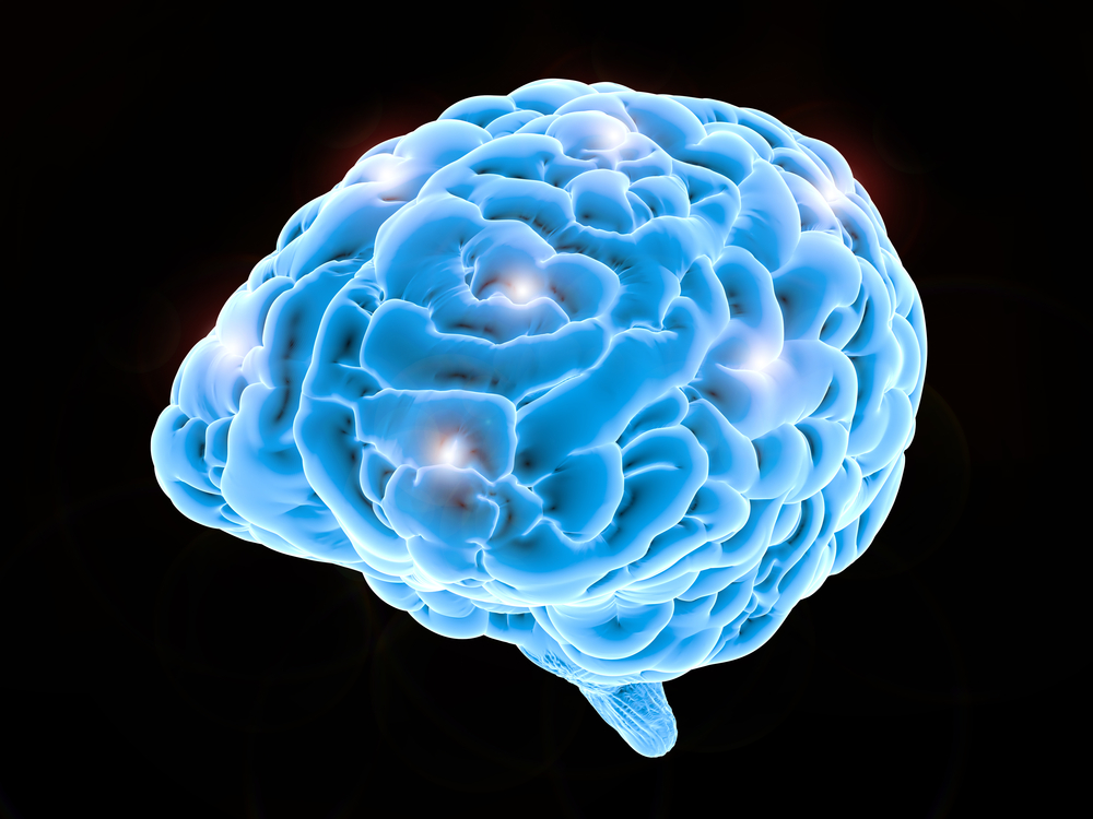 What Is So Magical About Magic Mushrooms? How Do They Affect Your Brain