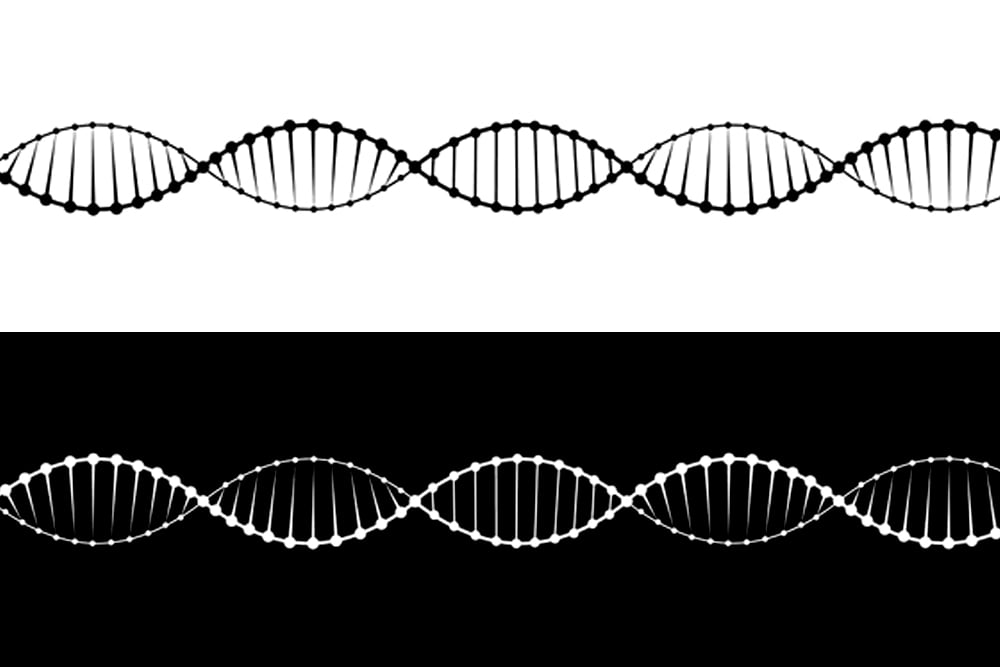 A set of two variants of the DNA molecule
