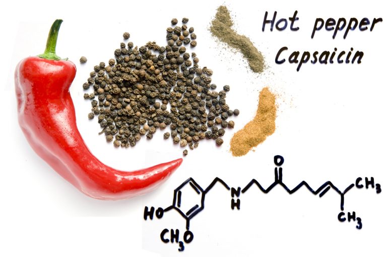 How Capsaicin Led To The 2021 Nobel Prize In Physiology? » ScienceABC