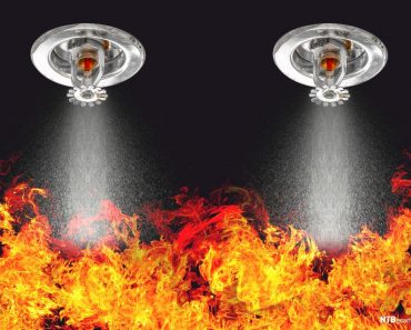 Fire Sprinkler