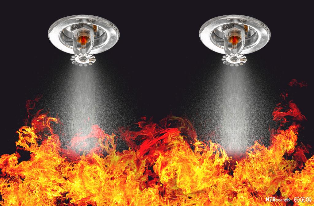 Fire Sprinkler