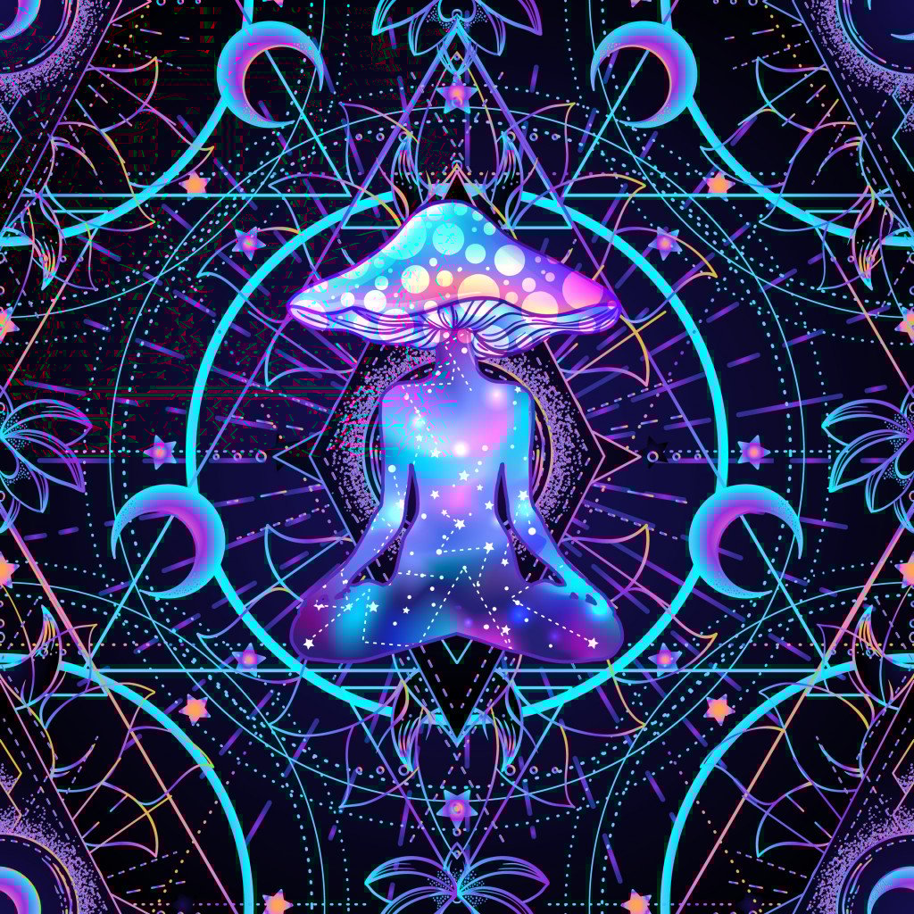 What Is So Magical About Magic Mushrooms? How Do They Affect Your Brain