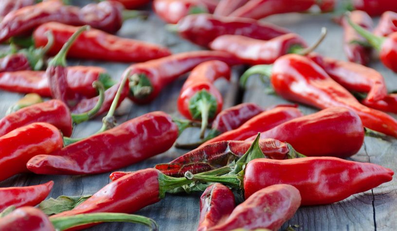 raw-organic-chili-red-peppers-dried-on-a-wooden-table-photo-with-shallow-depth-of-field_t20_znEloG